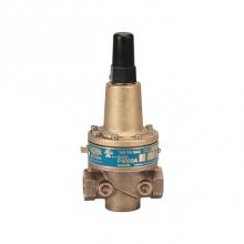 Zurn Industries 34-P4000AHR - 3/4'' RELIEF VALVE UL/FM 150-300 PSI