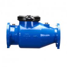 Zurn Industries 6-310 - Single Check Valve Assy, Flanged x Flanged