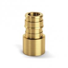 Zurn Industries QE812GX - F1960 Expansion XL Brass FSWT Adapter - 1-1/4'' EX PEX x 1-1/4'' FSWT