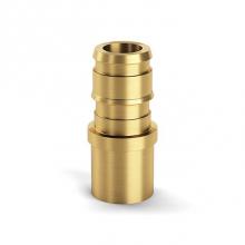 Zurn Industries QE975GX - F1960 Expansion XL Brass MSWT Adapter - 2'' EX PEX x 2'' MSWT