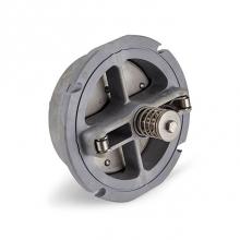 Zurn Industries RK10-350ASTCK1 - REPAIR KIT, CHECK ASSY, 10'' 350AST(DA) #1