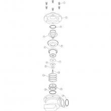 Zurn Industries RK212-RV-PLUNGER - REPAIR KIT, PLUNGER/SEAT ASSY, 2-1/2''- 6'' 375/475 -OR- 375AST