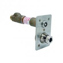 Zurn Industries Z1321XL-3/4x24 - Z1321XL-3/4x24, Exposed Non-Freeze Lead Free Wall Hydrant, 24'' Wall