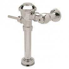 Zurn Industries Z6000PL-WS1-BG-DF - 1.6 GAL EXPOSED VALVE W/'BG' 'DF'