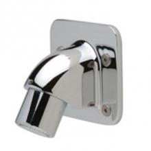 Zurn Industries Z7000-I2-AP - Z7000-I2 WITH ANCHOR PLATE