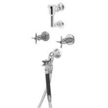 Zurn Industries Z87302-EVB-HK-SE-SH - Zurn AquaSpec® 8'' Bedpan Washer, 2-Valves, Elevated Vacuum Breaker, Supply Ell, Ho