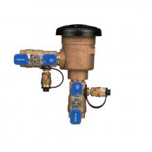 Zurn Industries 1-720A - Pressure Vacuum Breaker, FNPT x FNPT