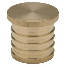 Zurn Industries QQP5GX - XL Brass Test Plug - 1'' Barb