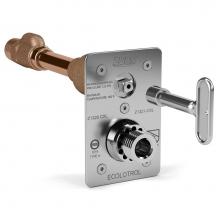 Zurn Industries Z1321-CXL-10 - Z1321-CXL-10, Exposed Non-Freeze Lead Free Wall Hydrant, 10'' Wall