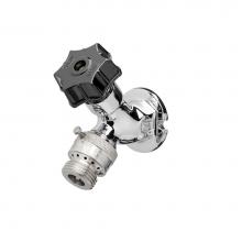 Zurn Industries Z1341XL-P34-PC - Z1341XL-P34-PC, Lead Free Polished Chrome Wall Faucet, 3/4'' FPT Inlet