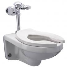 Zurn Industries Z5615.043.01.00.00 - Z5615.043.01.00.00