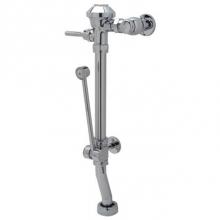 Zurn Industries Z6011AV-WS1-BWN-YK - 1.6 GAL VALVE W/'BWN' 'YK'