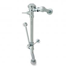 Zurn Industries Z6011AV-WS1-BWN-DF - Z6011AV-WS1-BWN-DF