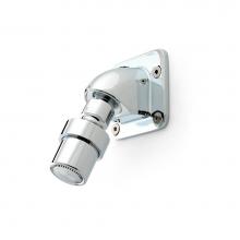 Zurn Industries Z7000-I7 - SHOWER HEAD, INSTITUTIONAL, BRASS, FIXED SPRAY/PATTERN, CHRO