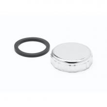 T&S Brass 012640-45 - Overflow Cap w/ Sealing Washer (Waste Dr