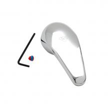 T&S Brass 013113-45AM - Single Lever ''Short'' Handle with Anti-Mi