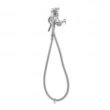 T&S Brass B-0169 - Spray Assembly, Single Hole Wall Mount Base w/ VB, Angled Spray Valve, Flexible Hose