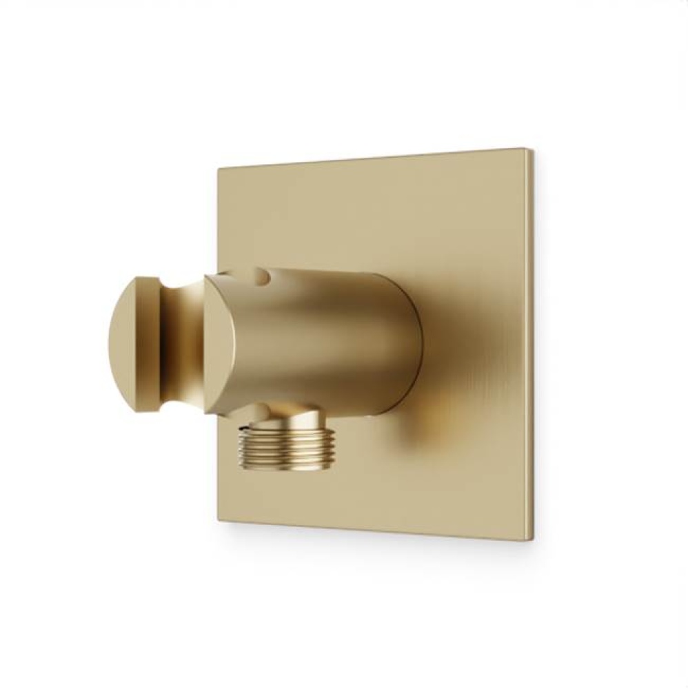 Shower Outlet Elbow with Hand Shower Holder R + S Satin Brass