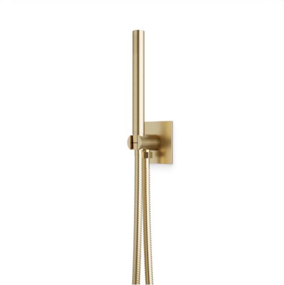 Flexible Hose Shower Kit with Integrated Water Outlet R + S Satin Brass