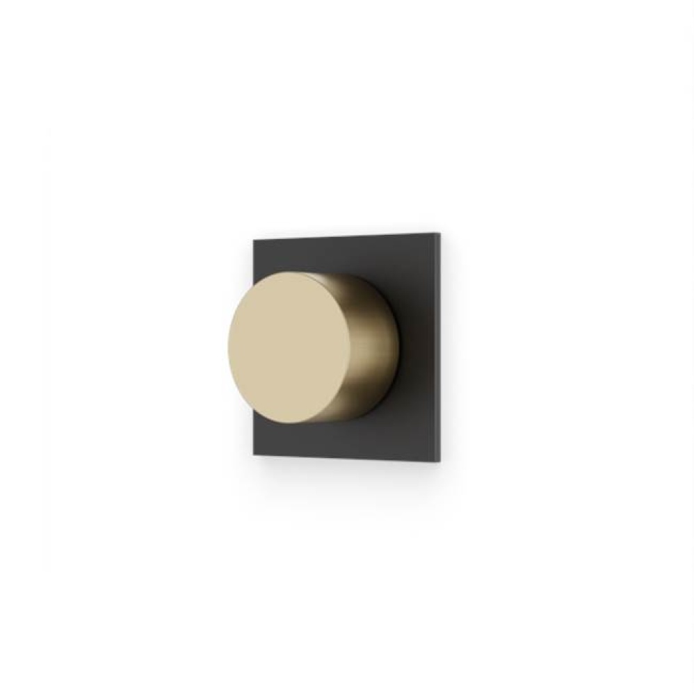 Square & Round Volume Control Trim Kit Satin Brass/Matte Black