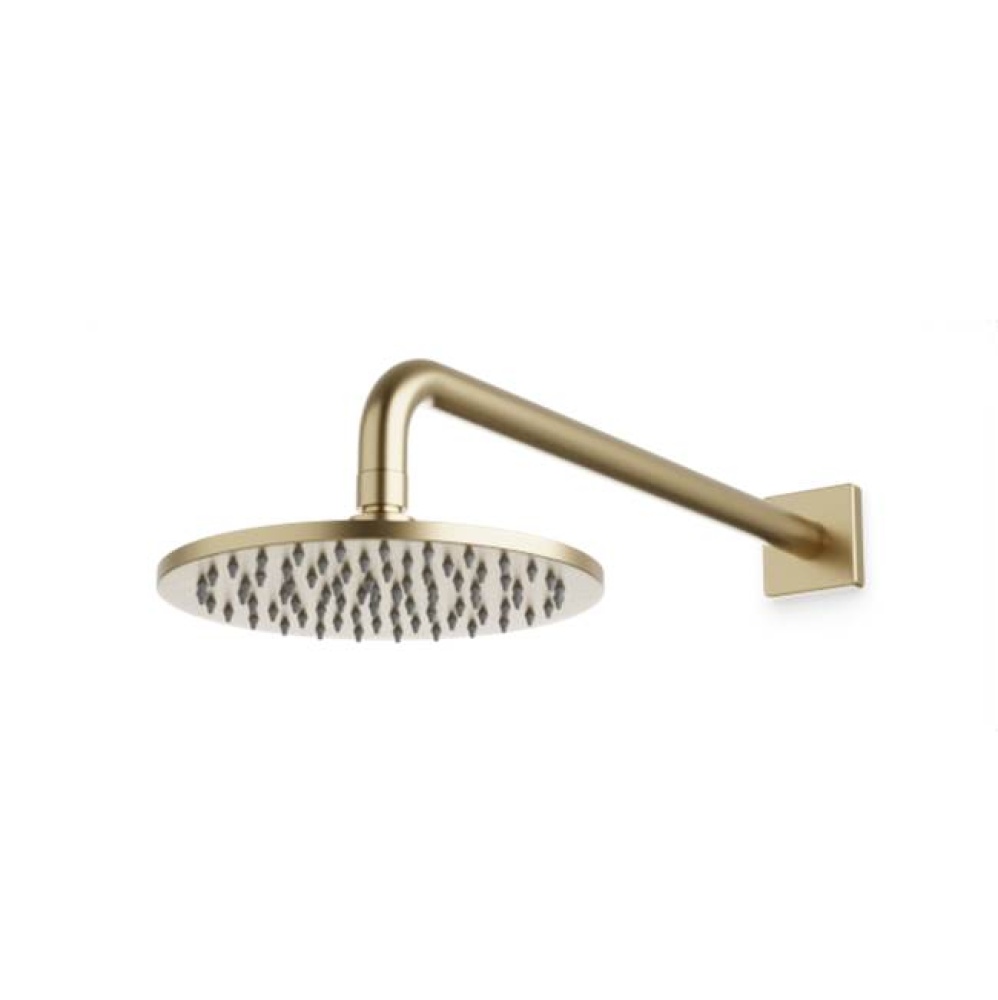 R+S 8'' Shower Rainhead Wall Mount, Satin Brass