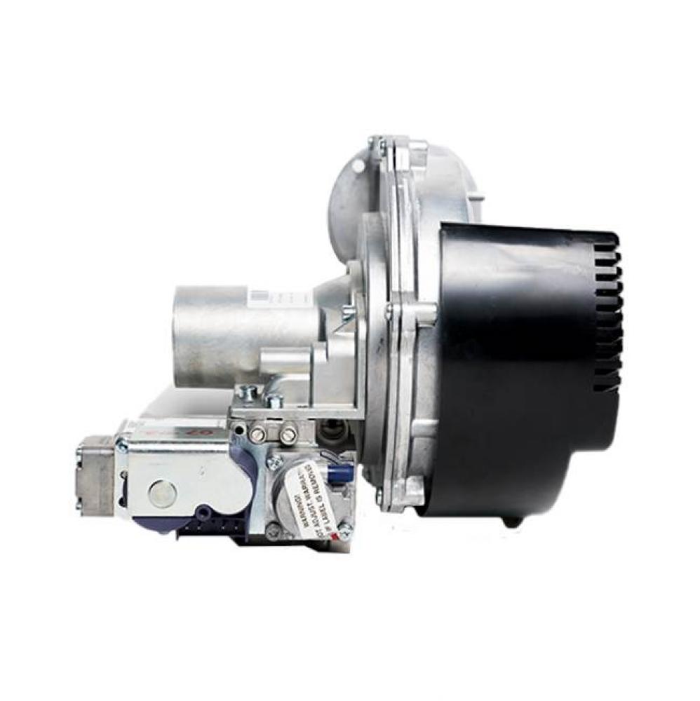 Gas Valve Assembly with Blower: Natural Gas (Applicable Models: EF60, 100T-199K BTU/Hr