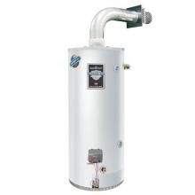 Bradford White LG2DV50H503N-SLD - 48 Gallon Light-Duty Commercial Gas (Natural) Direct Vent Water Heater with Solid Vent Kit