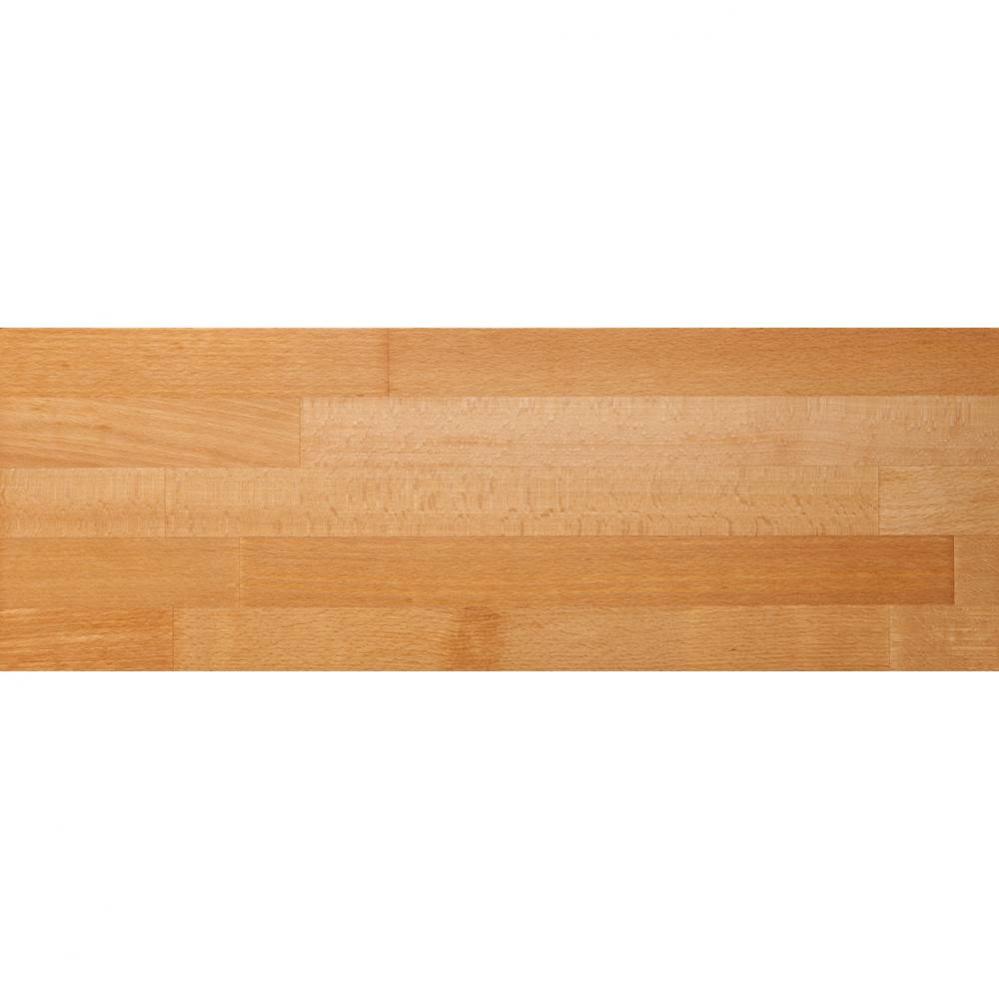 12''X17'' European Beech Cutting