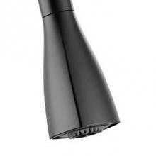 Cleveland Faucet 162716BL - Wand Kit