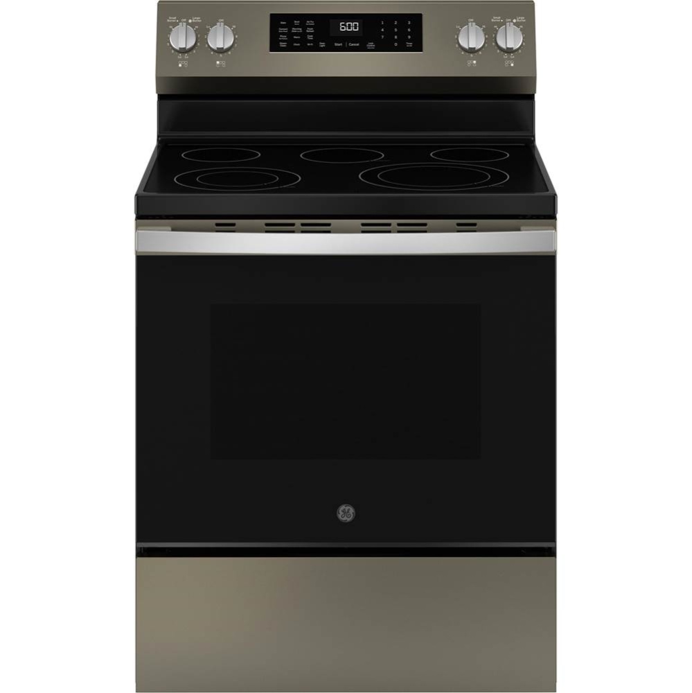 GE 30'' Free-Standing Electric Convection Range with No Preheat Air Fry and EasyWash Ove