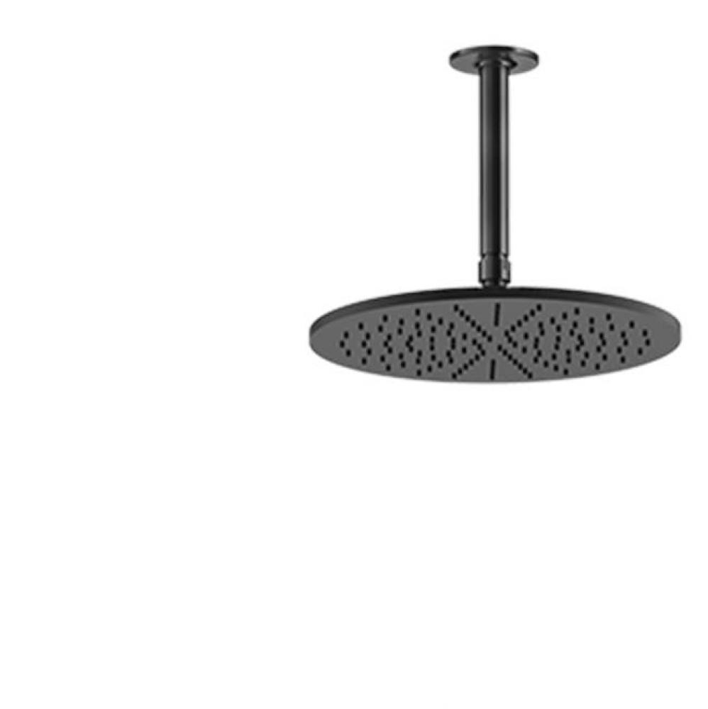 Ceiling-mounted adjustable shower head with arm.