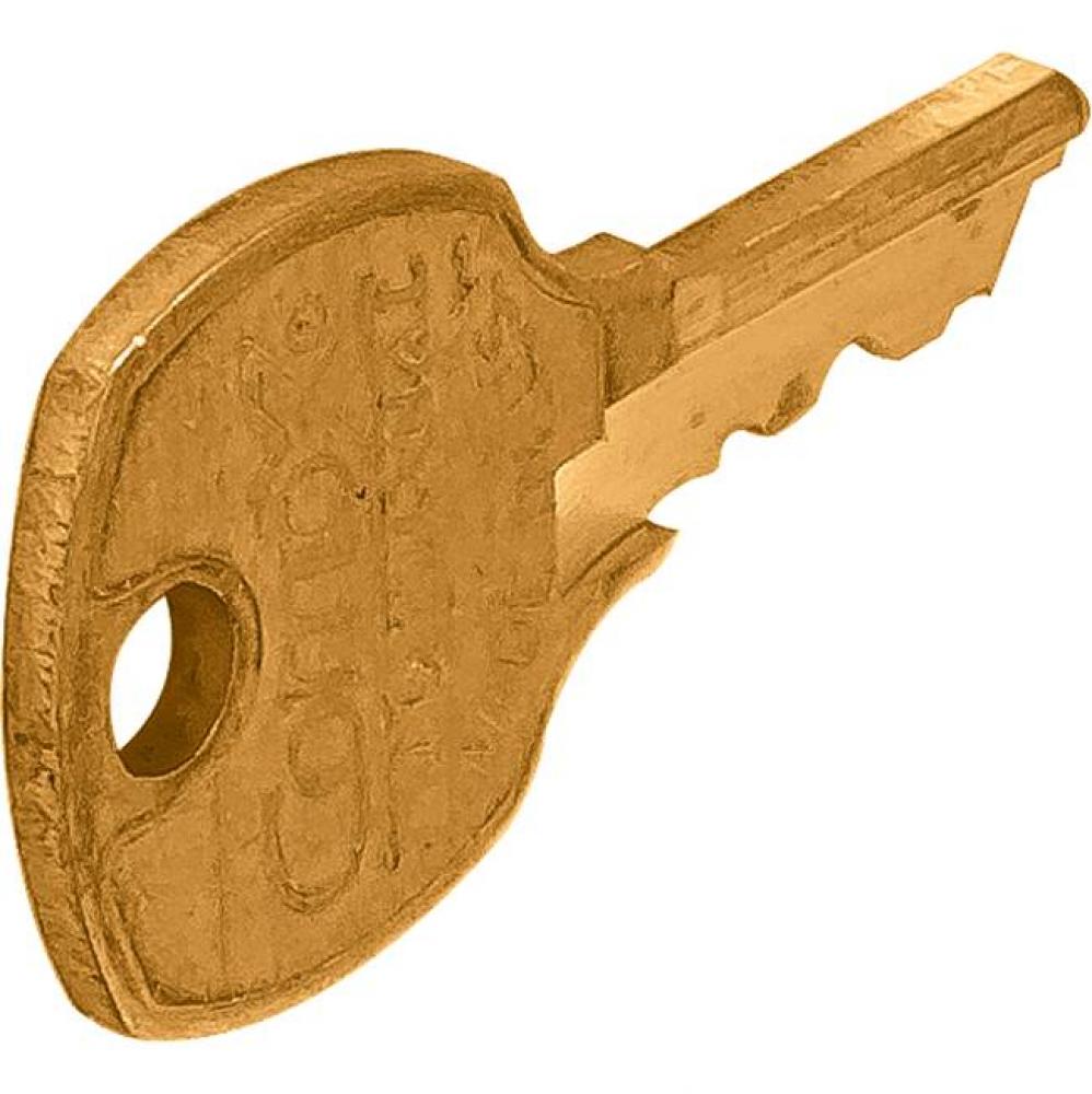 Master Key Brass For Disk Cylinder E41A