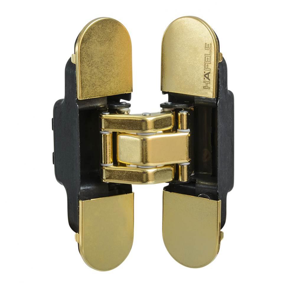 Concealed Hinge Steel Pol Brass 60Kg