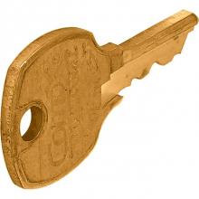 Hafele 210.02.219 - Master Key Brass For Disk Cylinder E41A
