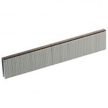 Hafele 006.50.816 - Senco R13Bab 19 Gx3/16''Crx1''Blunt Pt