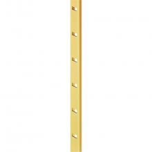 Hafele 283.12.803 - Shelf Supp Strip Alu Go Anod 3.5M