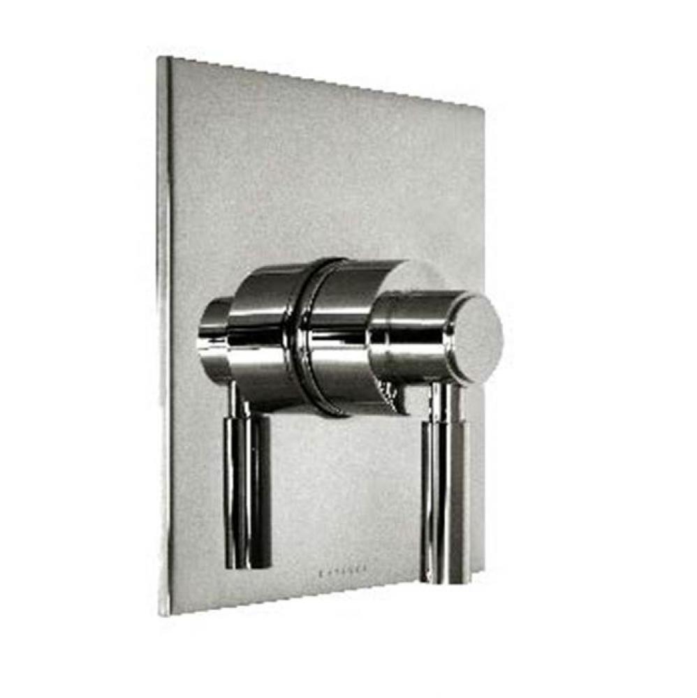 Metro Thermostatic Trim With Solid Brass Square Plate And Single