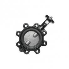 Jomar International LTD 600-06DSBL - Lug Style, Epoxy-Coated Ductile Iron Body, Stainless Steel Disc 6''