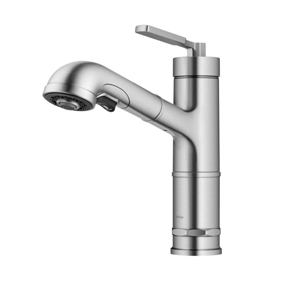 Allyn™ Pull-Out Single Handle Kitchen Faucet in Spot-Free Stainless Steel