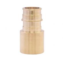 Legend Valve 462-623NL - 1/2'' No Lead / DZR Brass F 1960 PEX Sweat Adapter