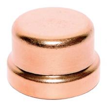 Legend Valve 450-489P - 2-1/2'' Large Press Cap
