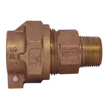 Legend Valve 313-236NL - 1'' PEP NL PAK x MIP T-4320