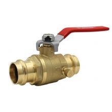 Legend Valve 101-215NL - 1'' P-202NL PRESS DRAINABLE BV