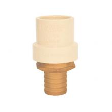 Legend Valve 302-453NL - 1/2'' NL PEX F1960 x CPVC ADAPT