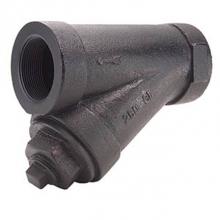 Legend Valve 105-528 - 2'' T-17 D.I. Y-STRAINER