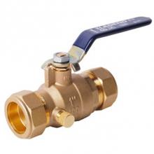 Legend Valve 101-435NL - 1'' T-2002NL DRAINABLE COMP FPB