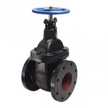 Legend Valve 116-103 - 3'' T-301 CAST IRON GATE VALVE