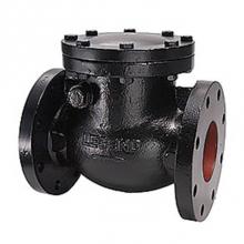 Legend Valve 116-201 - 2'' T-311 CAST IRON CHECK VALVE