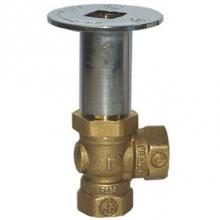 Legend Valve 102-893 - 1/2'' T-3501 LOG LIGHTER KIT