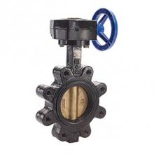 Legend Valve 116-663 - 3'' T-367AB-G BUTTERFLY-BUNA